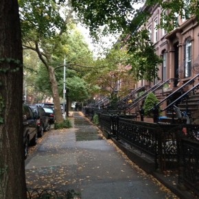Brownstones in Park Slope on a Rainy Day